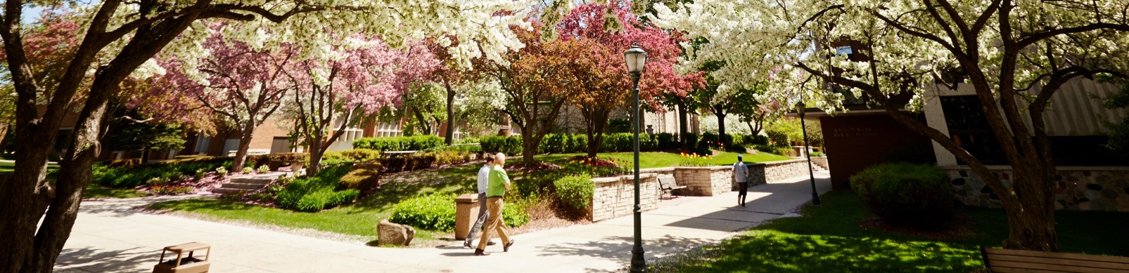 Marquette campus in the spring.